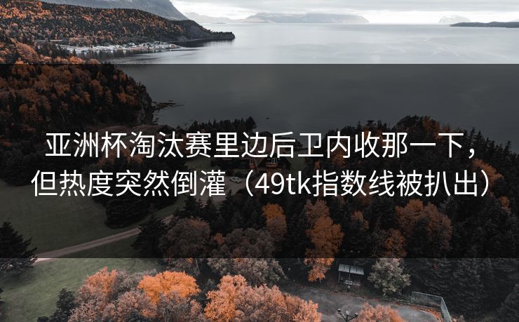 亚洲杯淘汰赛里边后卫内收那一下，但热度突然倒灌（49tk指数线被扒出）